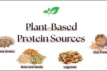Plant-Based Protein Sources