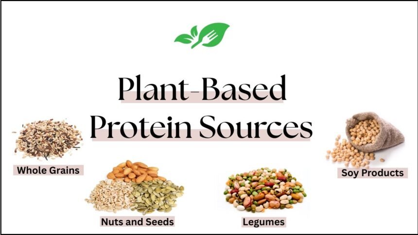 Plant-Based Protein Sources