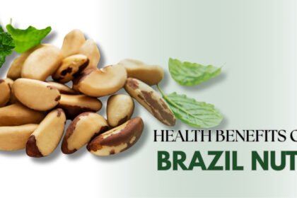 Health Benefits of Brazil Nuts