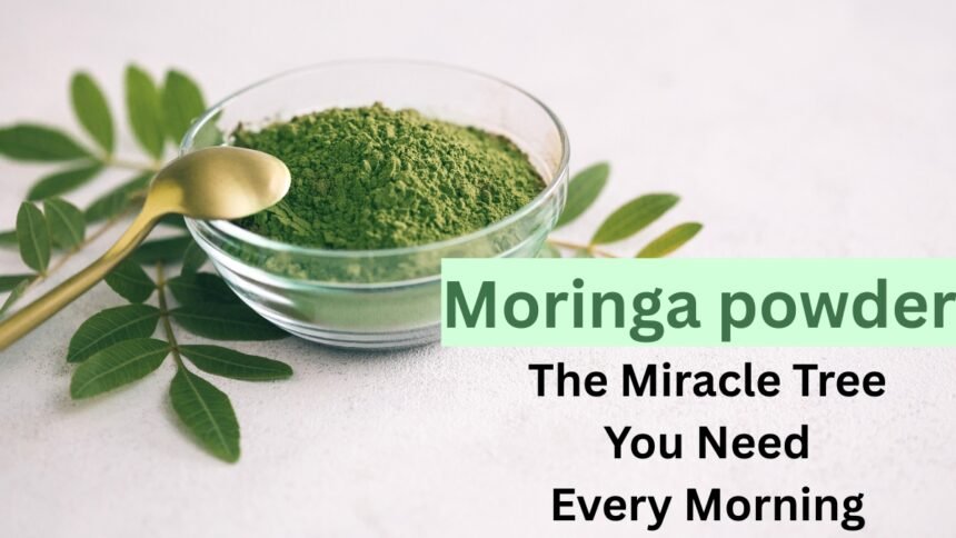 Moringa powder