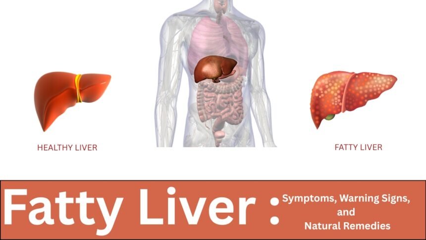 Fatty Liver at Night