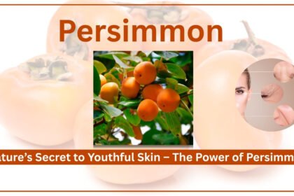 Persimmon Boosts Collagen