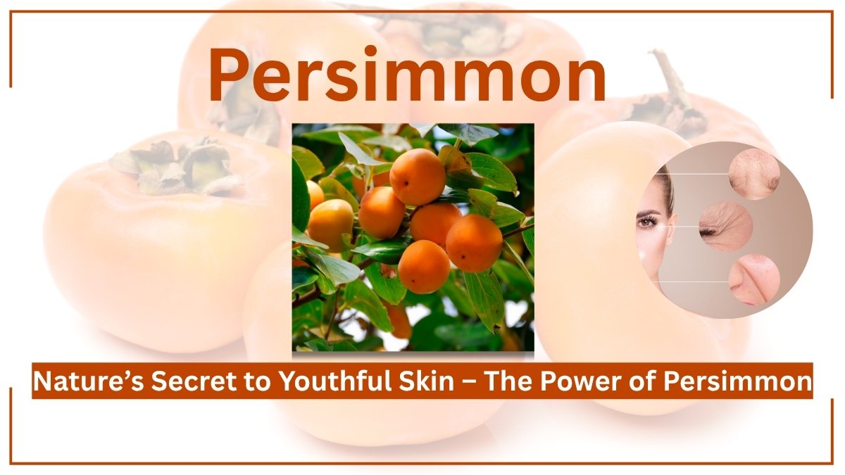 Persimmon Boosts Collagen