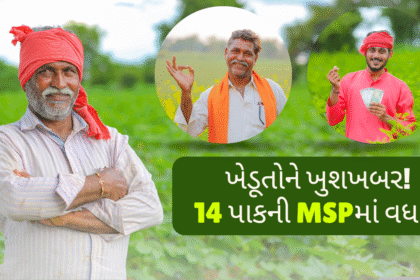 ખેડૂતોને ખુશખબર! 14 પાકની MSPમાં વધારો