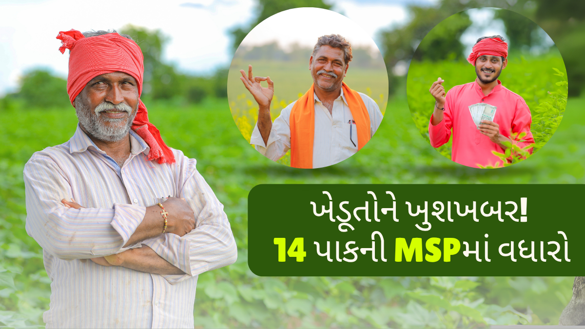 ખેડૂતોને ખુશખબર! 14 પાકની MSPમાં વધારો