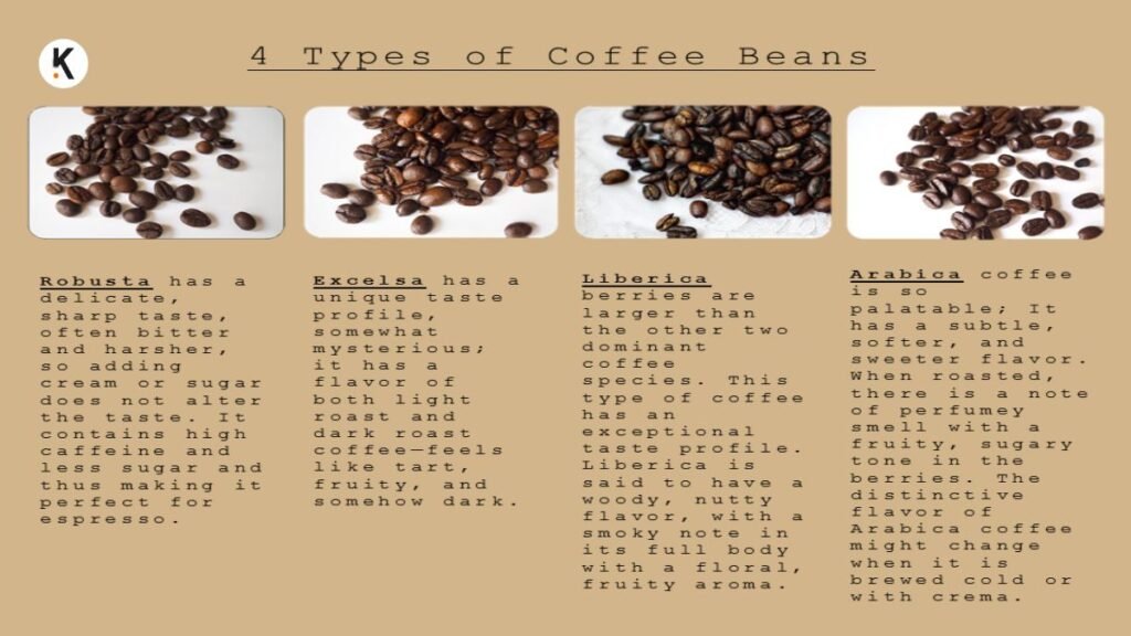 About Coffee Beans