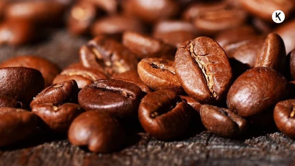 Robusta