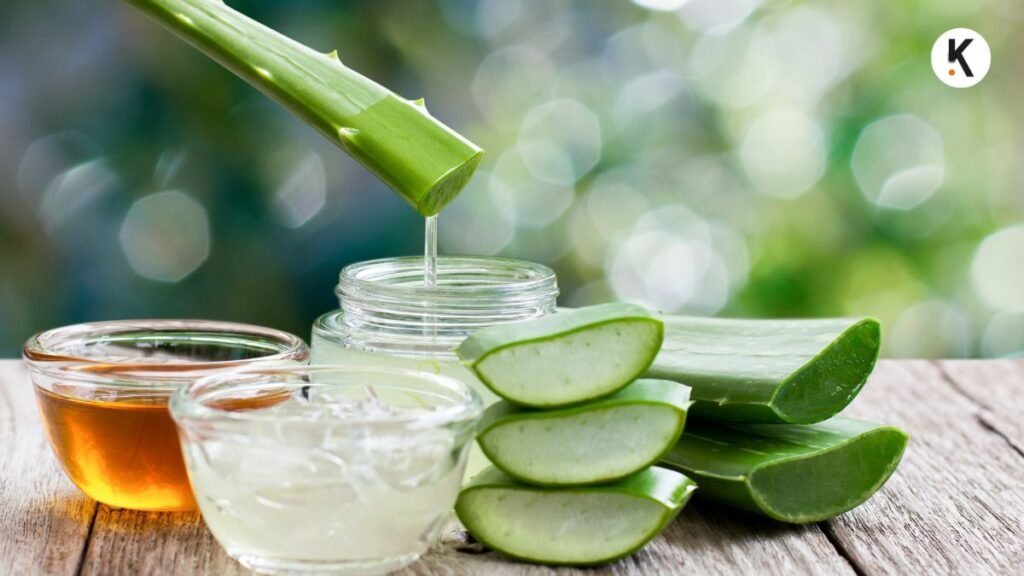 Aloe Vera benefits