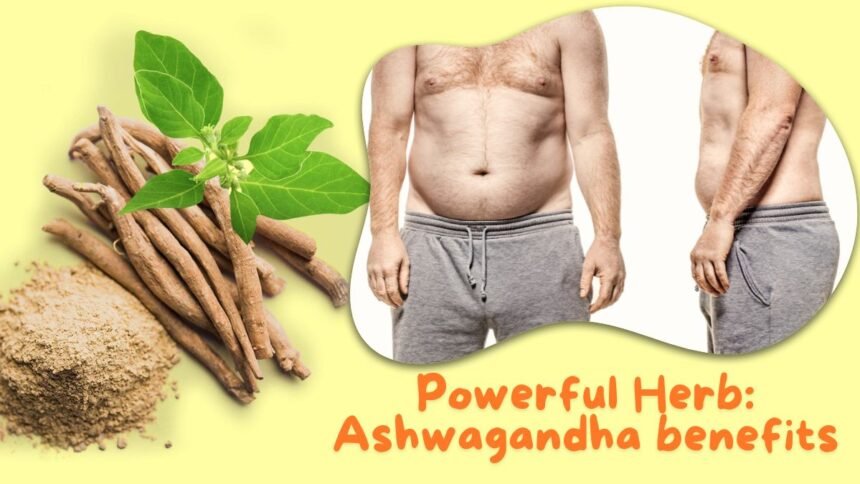 Ashwagandha benefits