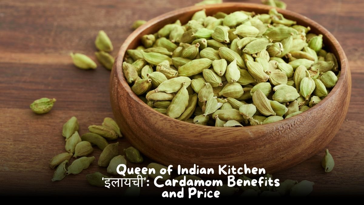 Cardamom