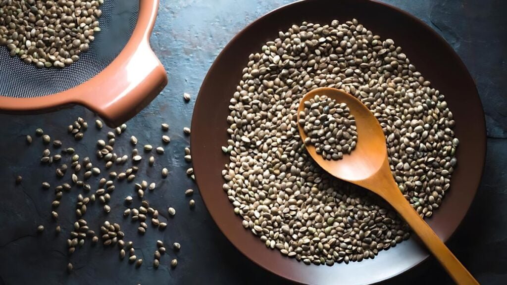 Hemp seeds.(भांग के बीज)