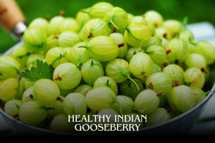 Indian Gooseberry