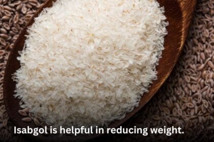 Isabgol