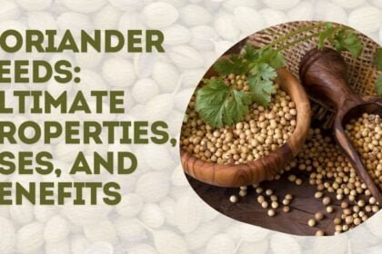 Coriander Seeds