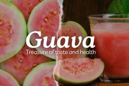 Guava