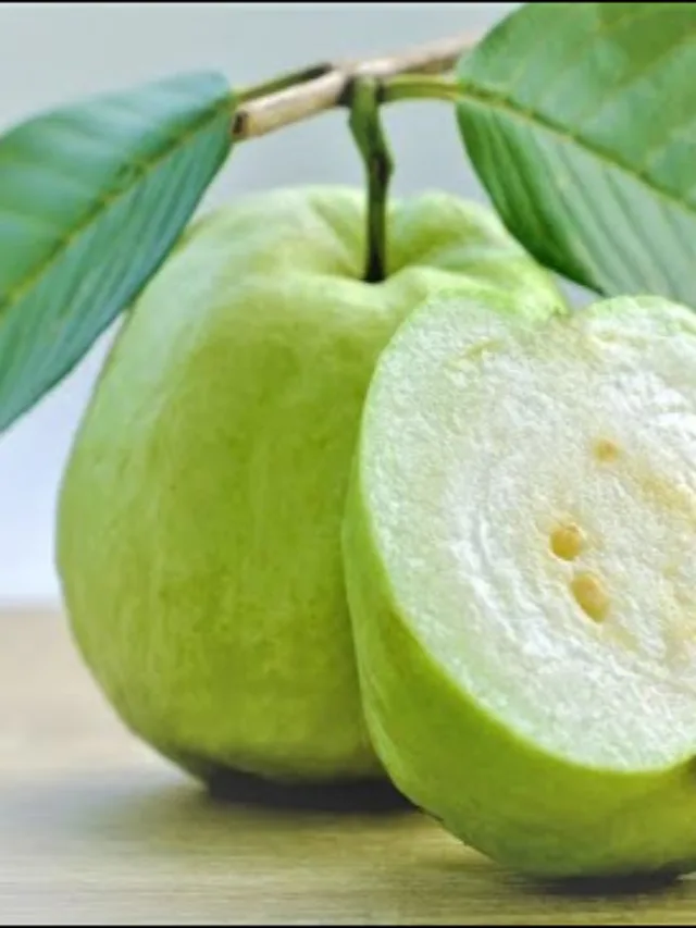 Guava : Treasure of taste and health