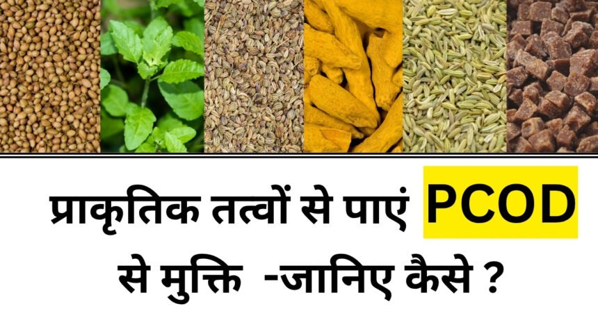 Polycystic Ovarian Disease